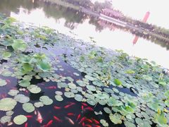 -西海子公园