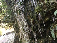 -湖州龙王山景区