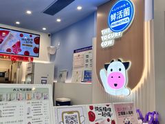 -一只酸奶牛(春熙路店)