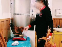 -重庆烧鸡公火锅(簋街店)
