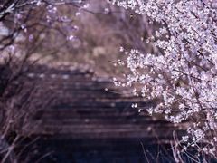 -定都阁