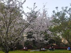 -徐家汇源景区-衡山公园