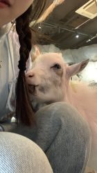 -Zoolung Zoolung动物主题公园(海信广场店)