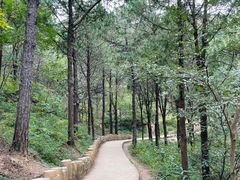 -北京西山国家森林公园