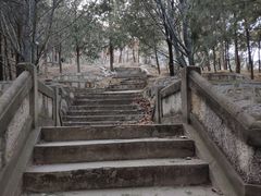 -北京鹫峰国家森林公园