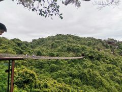 -亚龙湾热带天堂森林公园