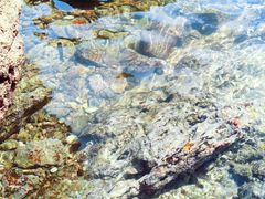 -西涌国际滨海旅游区