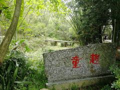 景点-广东茂名森林公园