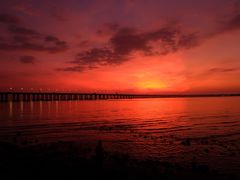 -宝安西湾红树林湿地公园