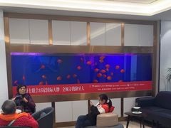 -牙博士口腔品牌连锁(杨浦店)