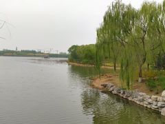 -大兴滨河森林公园