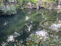 -留园