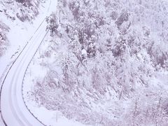 -瓦屋山景区