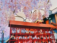 -茶马花街(城西银泰城店)