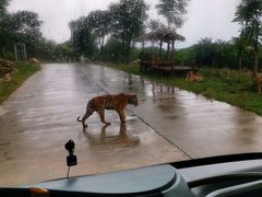 -西安秦岭野生动物园