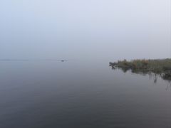 -白洋淀景区