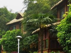 -洪湖悦兮半岛国际温泉度假村