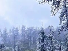 -瓦屋山景区