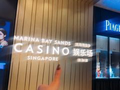 -滨海湾金沙购物商场