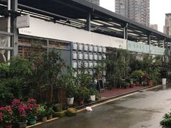 -六出私塾LiuChu•成人美术书法系统课程专业画室(熊婆婆的花园店)