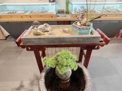 -阜昌典当行(阜成门店)