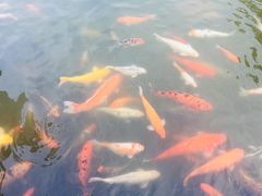 -珠海圆明新园