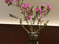 -新梅华(星悦汇店)