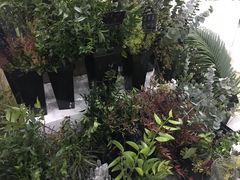 -Butchart布查德鲜花(花艺设计中心)