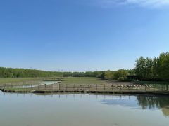 -溱湖国家湿地公园