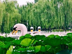 -丰台花园