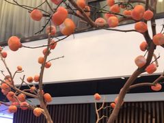 -饭怕鱼(阳光100店)