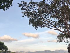 -深圳湾公园(南山区)