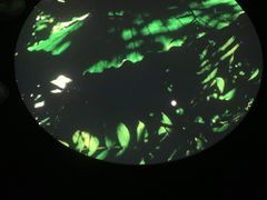 -上海当代艺术博物馆