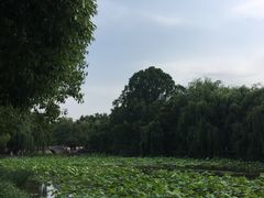 -李氏憨粑粑(文林街店)