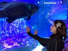 -沈阳海洋探索中心