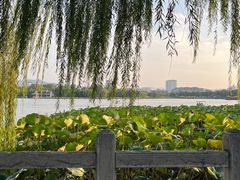 -济南大明湖景区