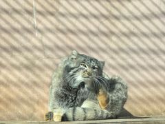 -青藏高原野生动物园