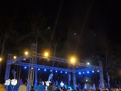 -渔家火锅·海鲜自助餐·演艺(亚龙湾天域酒店)