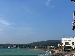-涉地可支