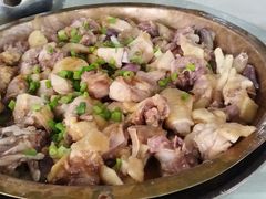 -佛冈鸽天下农庄