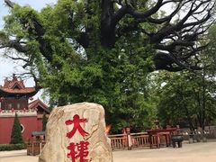-大槐树寻根祭祖园