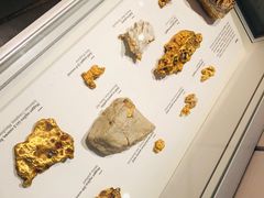 -墨尔本博物馆(Melbourne Museum)