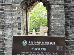 -上海佘山国家森林公园天马山园