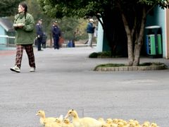 -无锡动物园·太湖欢乐园