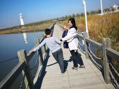 -呼兰河口湿地公园