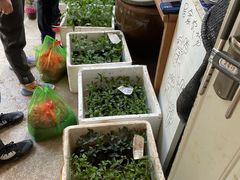 -双季花艺园艺市场(浦东店)