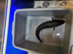 -有家酸菜鱼(张家港中骏世界城店)