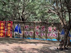 -北海金海湾红树林生态旅游区