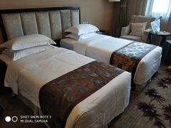 -长沙小天鹅戴斯酒店