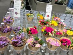 -鹿岛会员店(熙地港店)